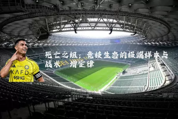 死亡之组：竞技生态的极端样本与战术熵增定律